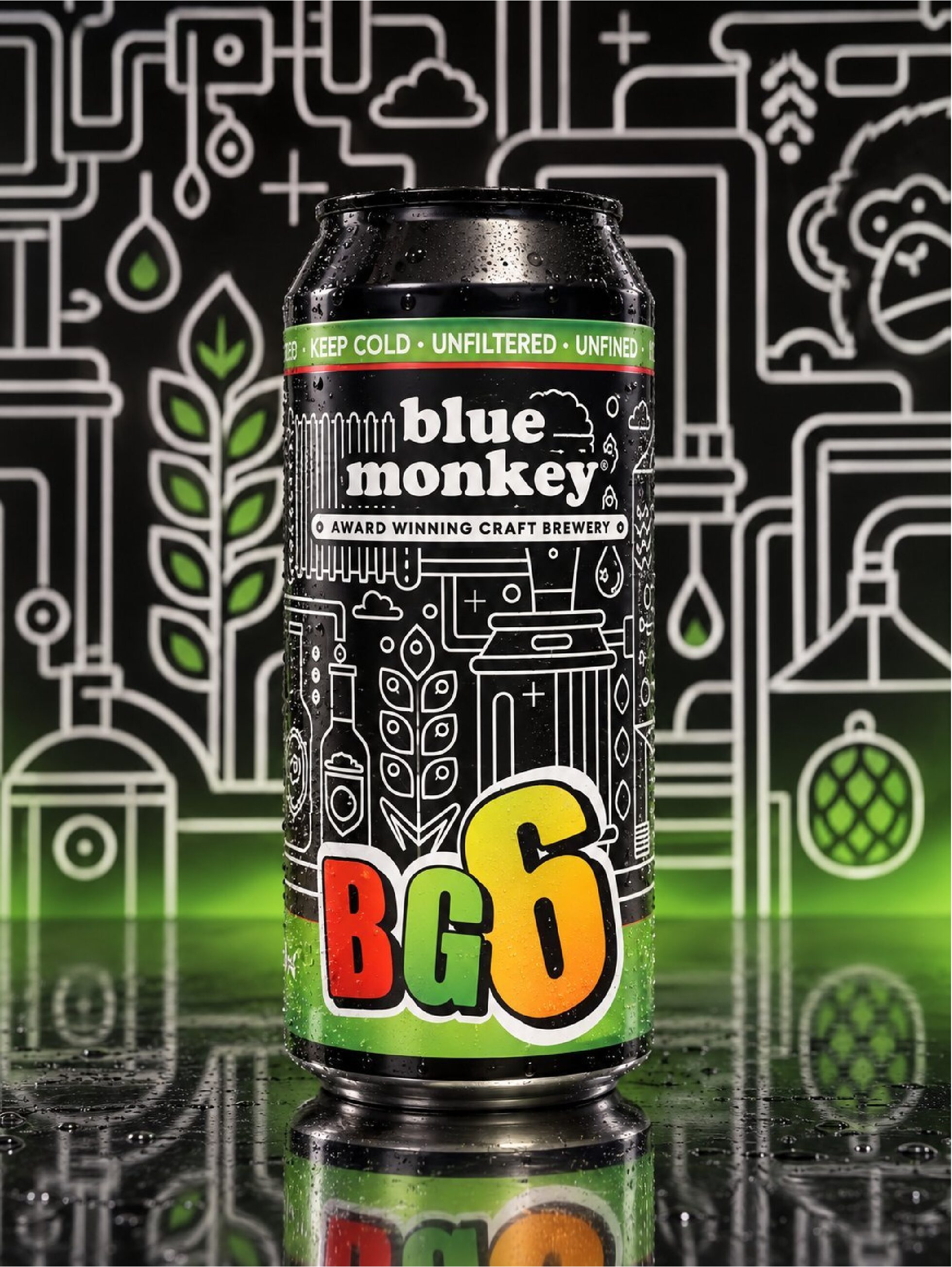 BG6 12 Pack